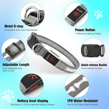 LED Dog Collar Light up USB Rechargeable, 7-Color Glow, Grey, L