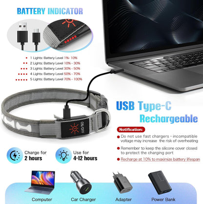 LED Dog Collar Light up USB Rechargeable, 7-Color Glow, Grey, L