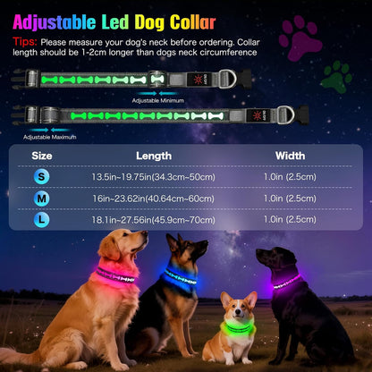 LED Dog Collar Light up USB Rechargeable, 7-Color Glow, Grey, L