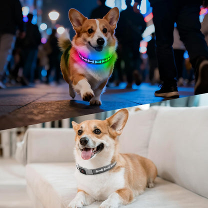 LED Dog Collar Light up USB Rechargeable, 7-Color Glow, Grey, L