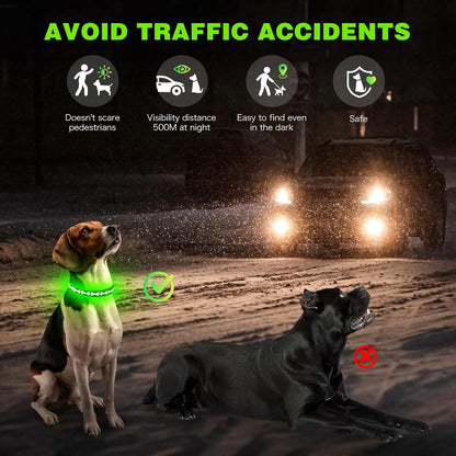 LED Dog Collar Light up USB Rechargeable, 7-Color Glow, Grey, L