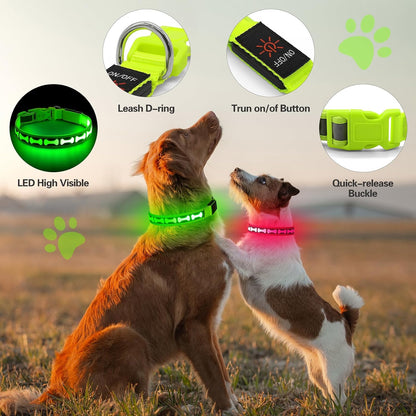 LED Dog Collar Light up USB Rechargeable, 7-Color Glow, Grey, L