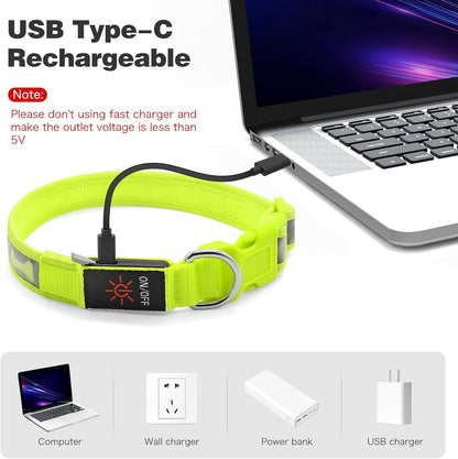 LED Dog Collar Light up USB Rechargeable, 7-Color Glow, Grey, L