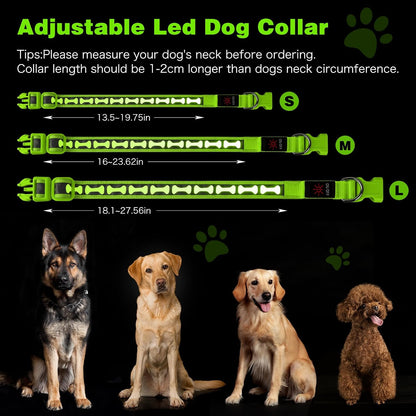 LED Dog Collar Light up USB Rechargeable, 7-Color Glow, Grey, L