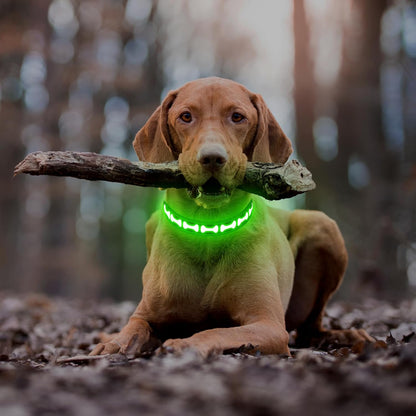 LED Dog Collar Light up USB Rechargeable, 7-Color Glow, Grey, L
