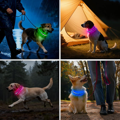 LED Dog Collar Light up USB Rechargeable, 7-Color Glow, Grey, L