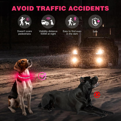 LED Dog Collar Light up USB Rechargeable, 7-Color Glow, Grey, L