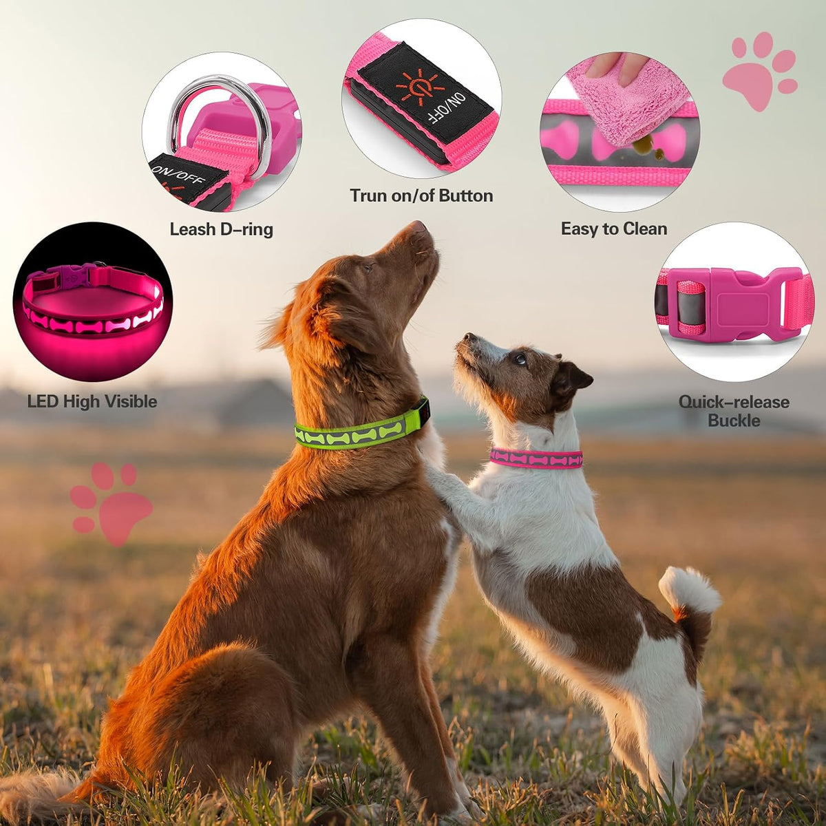 LED Dog Collar Light up USB Rechargeable, 7-Color Glow, Grey, L