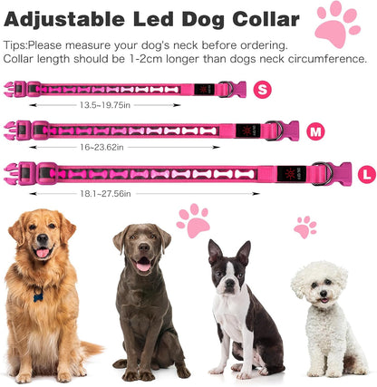 LED Dog Collar Light up USB Rechargeable, 7-Color Glow, Grey, L