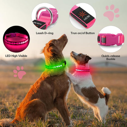 LED Dog Collar Light up USB Rechargeable, 7-Color Glow, Grey, L