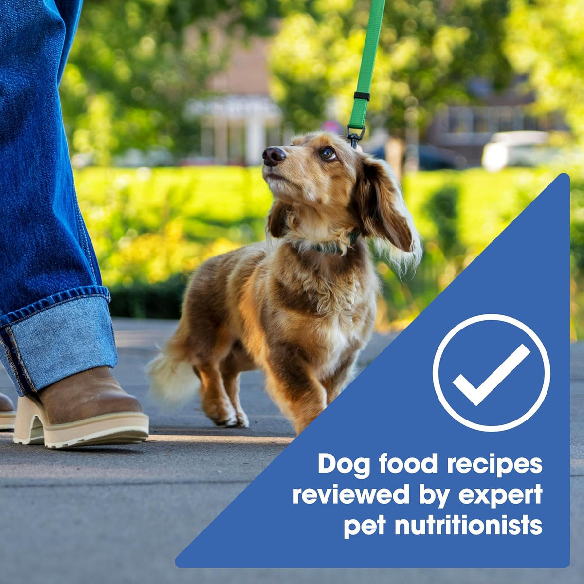Grain Free Small Breed Dry Dog Food, Chicken, Sweet Potato & Pumpkin Recipe, 4 lb. Bag