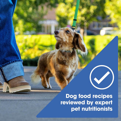Grain Free Small Breed Dry Dog Food, Chicken, Sweet Potato & Pumpkin Recipe, 4 lb. Bag