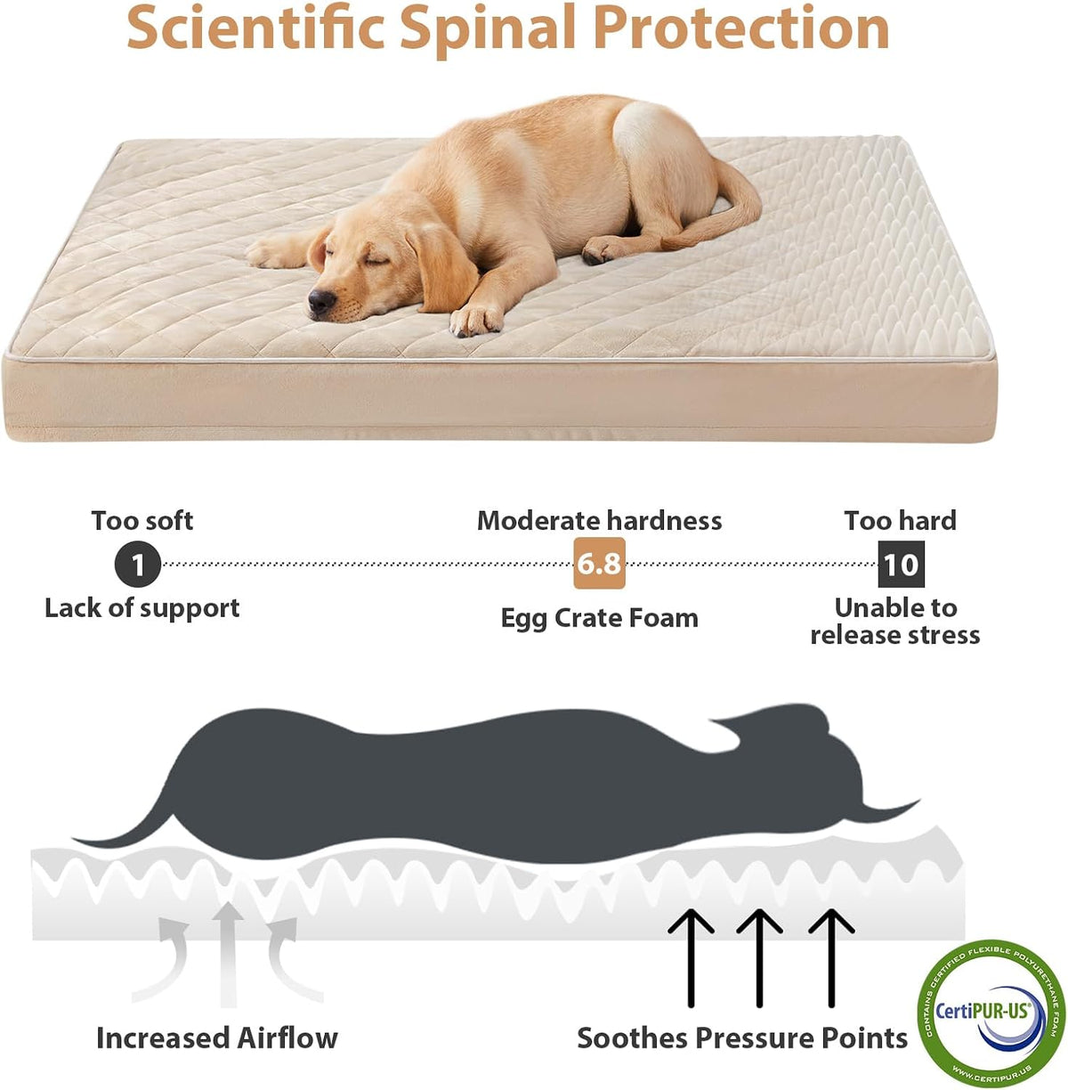 WNPETHOME Orthopedic Waterproof Extra Large Senior Dogs Bed for Comfy Sleep | XL Washable Ped Bed with Removable Cover, Multi-Needle Quilting XL Crate Bed for Large Sized Dog Relax, Light Grey 42x30 Inch