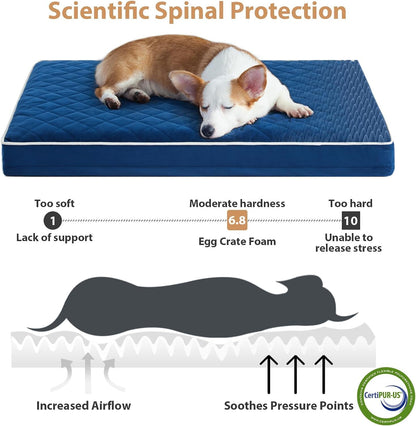 WNPETHOME Orthopedic Waterproof Extra Large Senior Dogs Bed for Comfy Sleep | XL Washable Ped Bed with Removable Cover, Multi-Needle Quilting XL Crate Bed for Large Sized Dog Relax, Light Grey 42x30 Inch