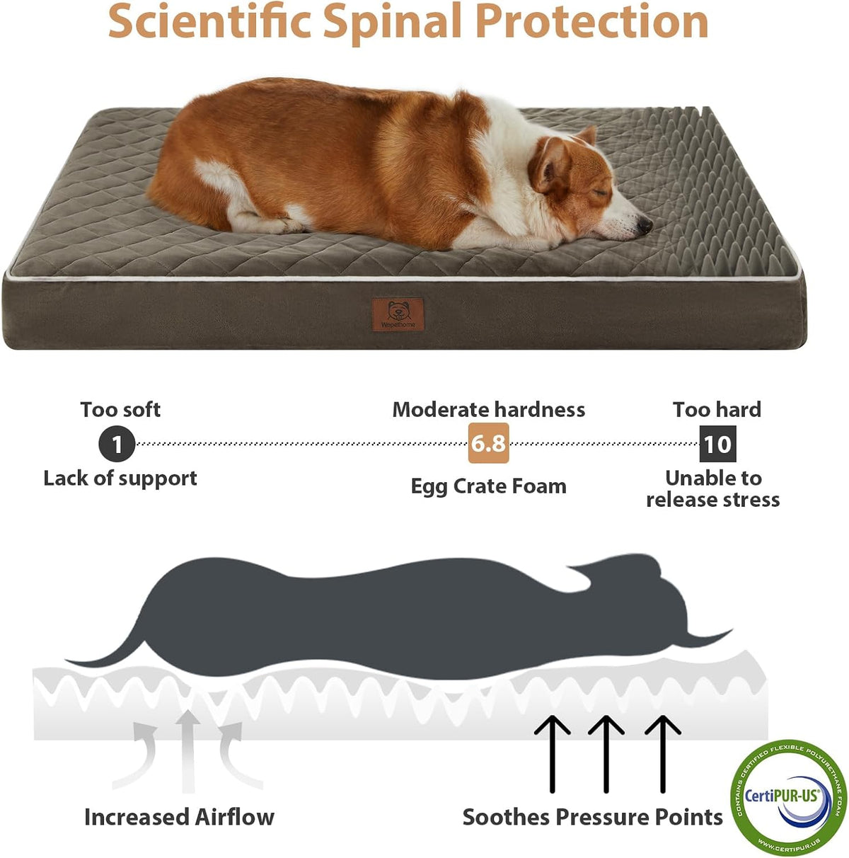 WNPETHOME Orthopedic Waterproof Extra Large Senior Dogs Bed for Comfy Sleep | XL Washable Ped Bed with Removable Cover, Multi-Needle Quilting XL Crate Bed for Large Sized Dog Relax, Light Grey 42x30 Inch