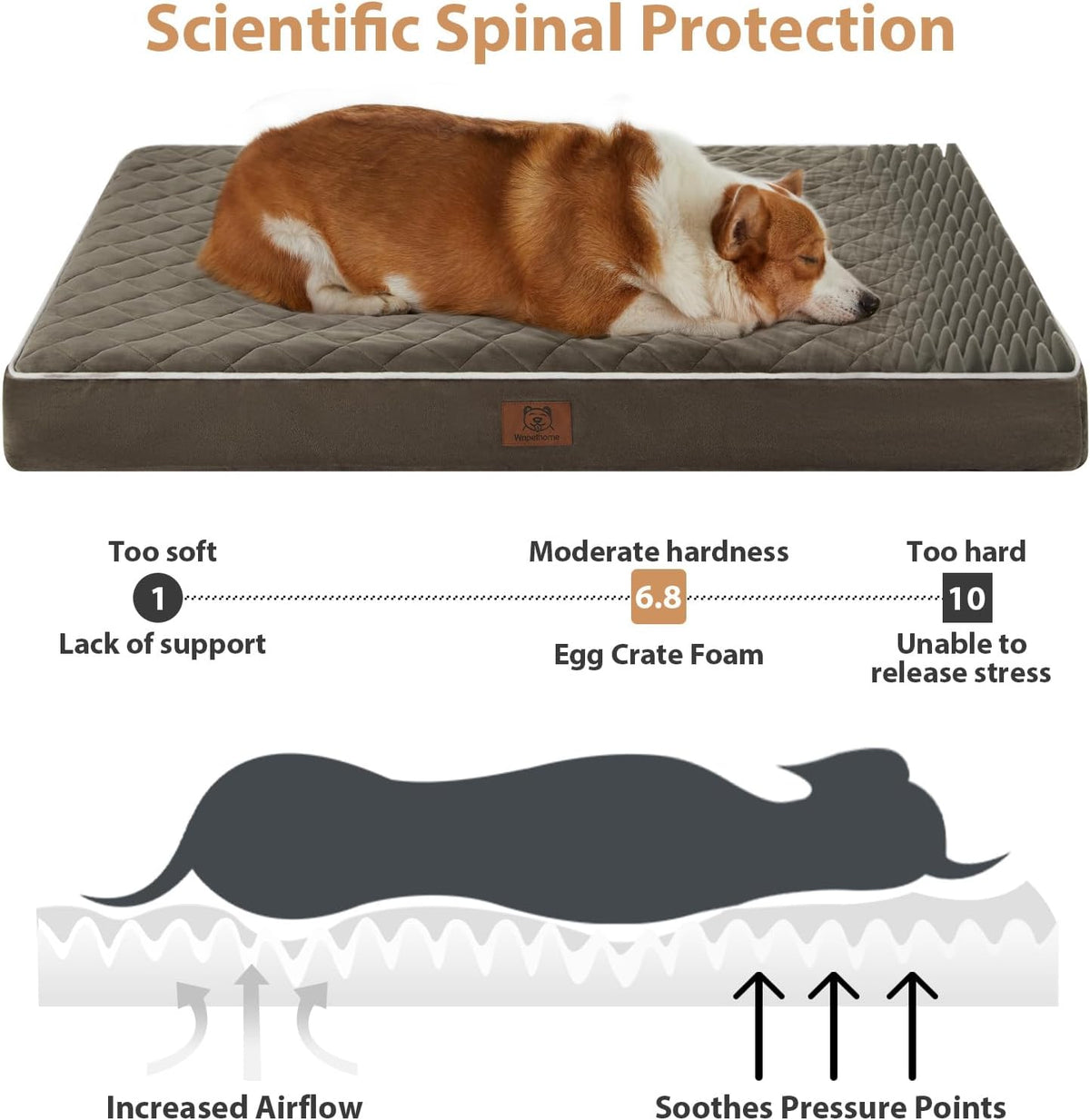 WNPETHOME Orthopedic Waterproof Extra Large Senior Dogs Bed for Comfy Sleep | XL Washable Ped Bed with Removable Cover, Multi-Needle Quilting XL Crate Bed for Large Sized Dog Relax, Light Grey 42x30 Inch