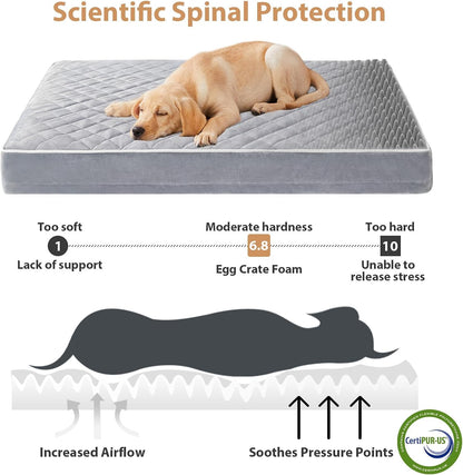 WNPETHOME Orthopedic Waterproof Extra Large Senior Dogs Bed for Comfy Sleep | XL Washable Ped Bed with Removable Cover, Multi-Needle Quilting XL Crate Bed for Large Sized Dog Relax, Light Grey 42x30 Inch