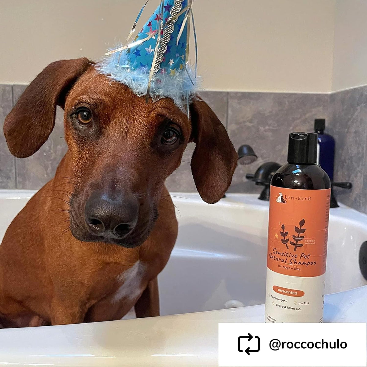 Sensitive Skin Natural Dog and Cat Shampoo - Gentle Oatmeal Clean - Fragrance Free - 12 fl oz