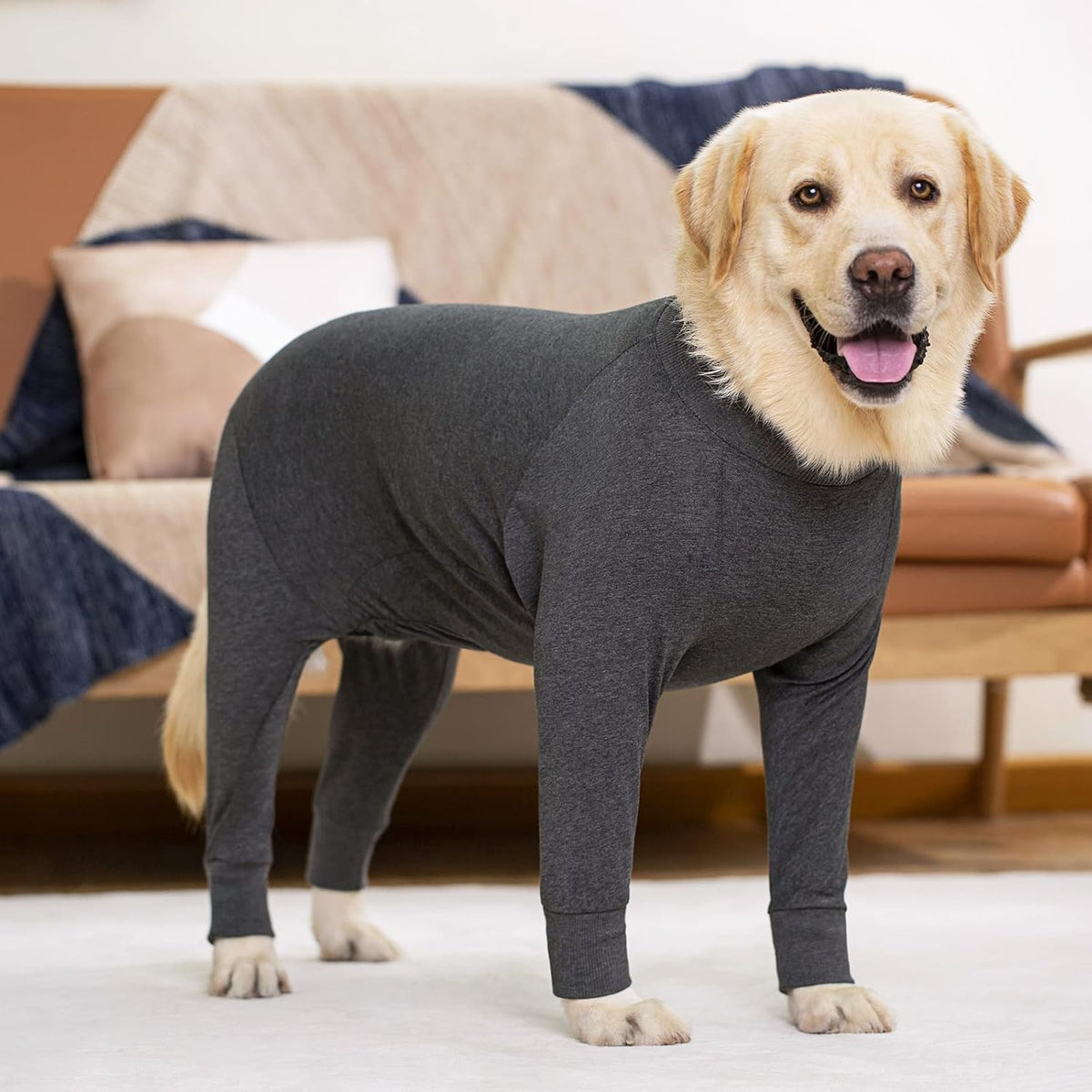 Dog Recovery Suit for Dogs After Surgery Female Male Medium Large Dog Neuter Spay Onesie for Shedding Prevent Licking Surgical Wound Dog Cone Alternative
