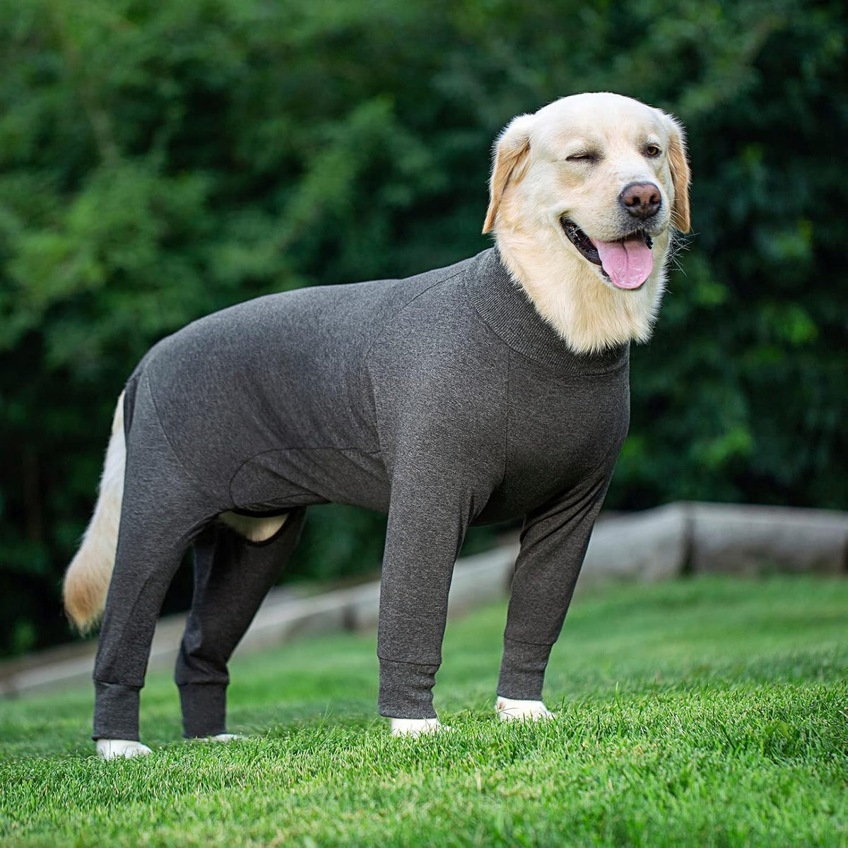 Dog Recovery Suit for Dogs After Surgery Female Male Medium Large Dog Neuter Spay Onesie for Shedding Prevent Licking Surgical Wound Dog Cone Alternative