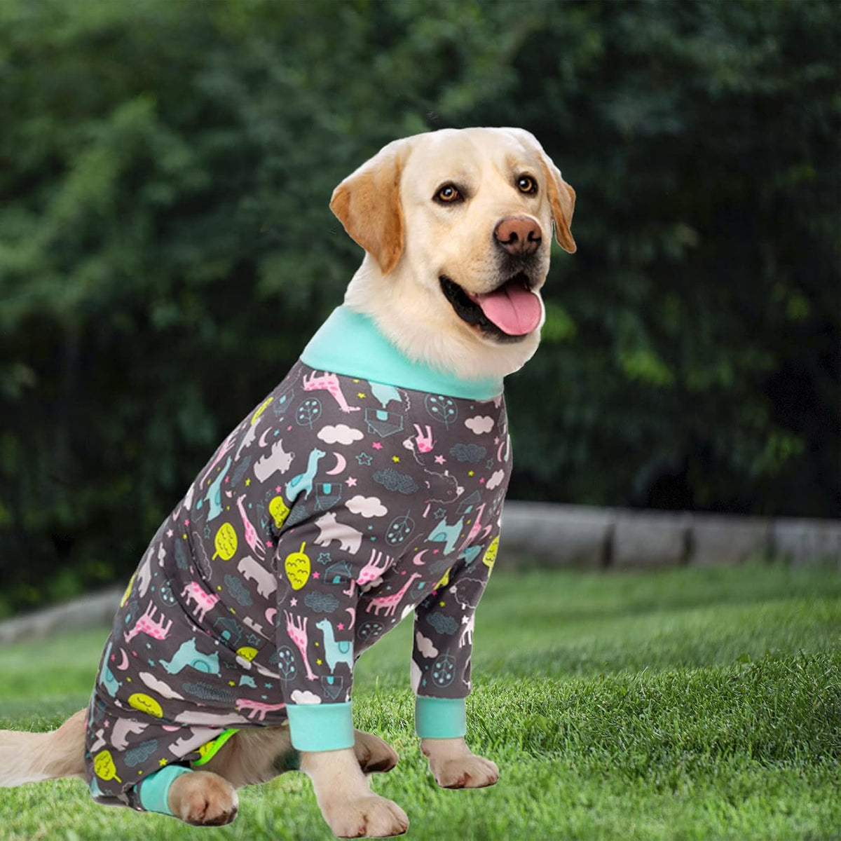 Dog Recovery Suit for Dogs After Surgery Female Male Medium Large Dog Neuter Spay Onesie for Shedding Prevent Licking Surgical Wound Dog Cone Alternative