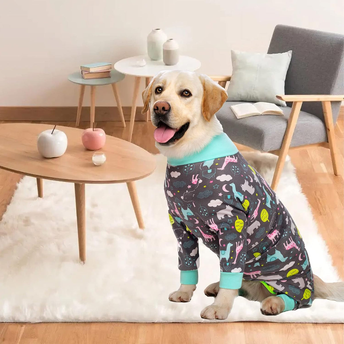 Dog Recovery Suit for Dogs After Surgery Female Male Medium Large Dog Neuter Spay Onesie for Shedding Prevent Licking Surgical Wound Dog Cone Alternative
