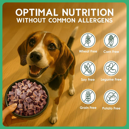 The Good List Air-Dried Dog Food, Premium Beef & Bone Broth for Dogs, Protein Rich & Grain-Free Nutrition, 1 Pound Bag