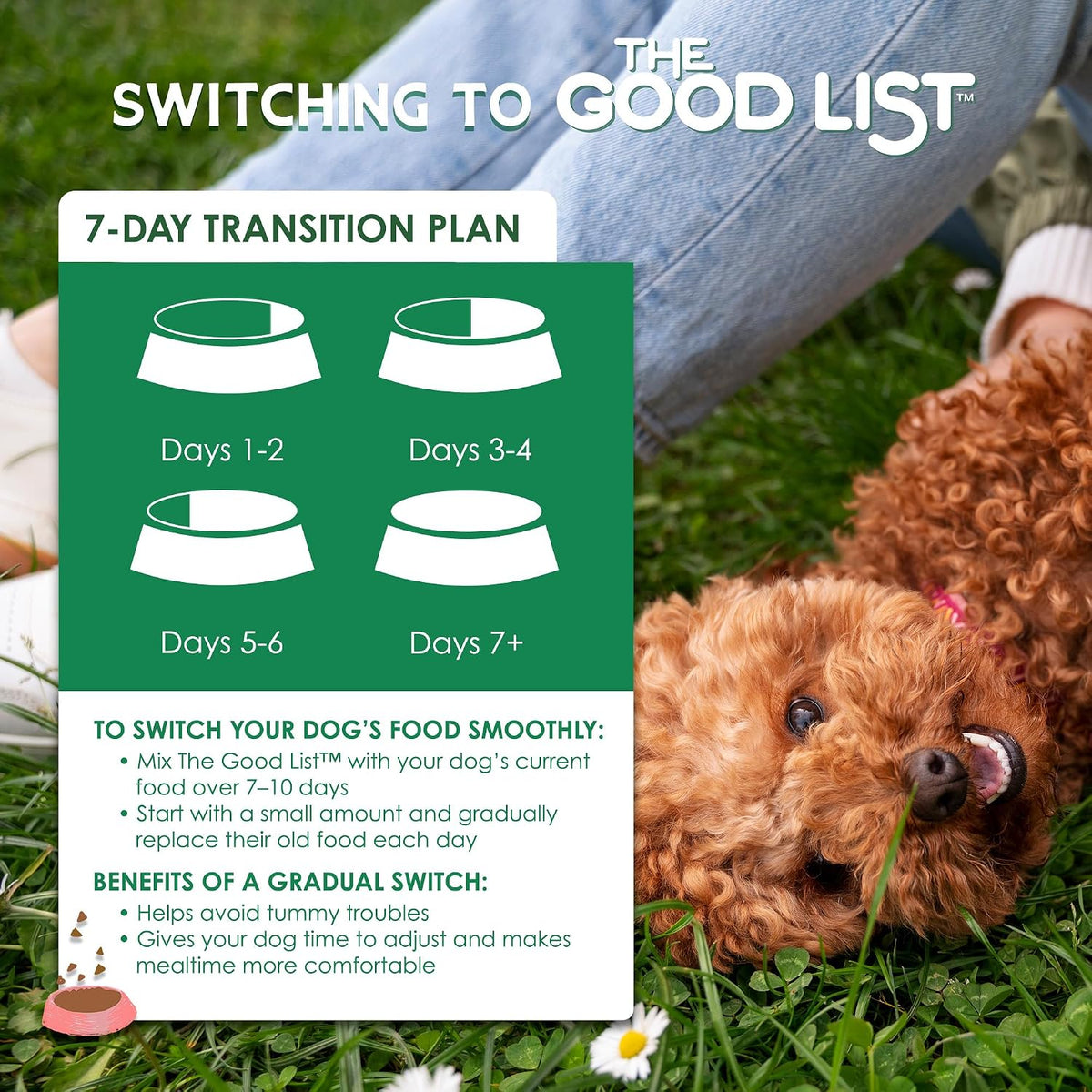 The Good List Air-Dried Dog Food, Premium Beef & Bone Broth for Dogs, Protein Rich & Grain-Free Nutrition, 1 Pound Bag
