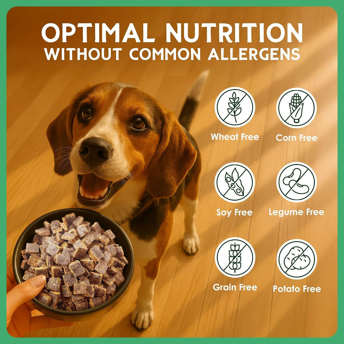 The Good List Air-Dried Dog Food, Premium Beef & Bone Broth for Dogs, Protein Rich & Grain-Free Nutrition, 1 Pound Bag