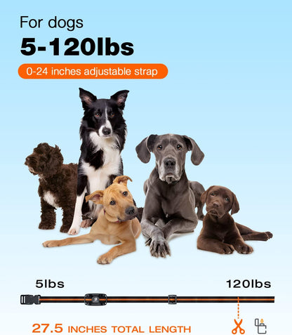Dog Shock Collar - 3300Ft Dog Training Collar with Remote for 5-120lbs Small Medium Large Dogs Rechargeable Waterproof e Collar with Beep (1-8), Vibration(1-16), Safe Shock(1-99) (Orange)