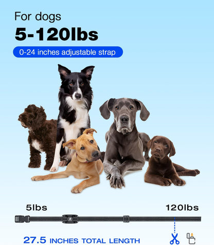 Dog Shock Collar - 3300Ft Dog Training Collar with Remote for 5-120lbs Small Medium Large Dogs Rechargeable Waterproof e Collar with Beep (1-8), Vibration(1-16), Safe Shock(1-99) (Orange)