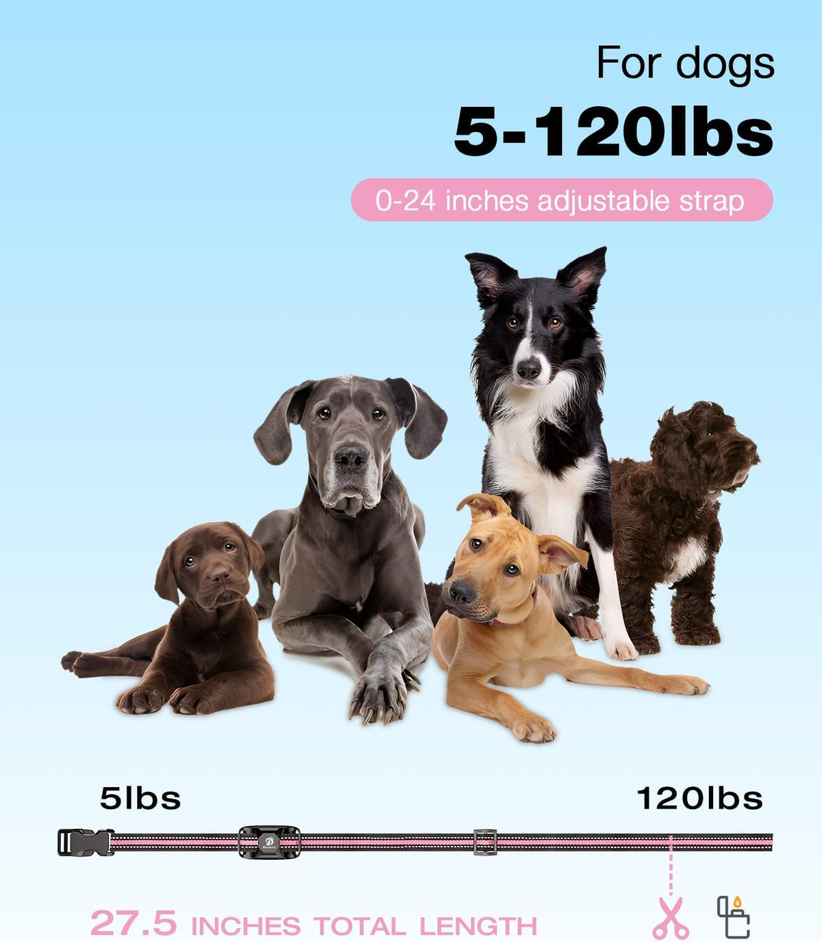 Dog Shock Collar - 3300Ft Dog Training Collar with Remote for 5-120lbs Small Medium Large Dogs Rechargeable Waterproof e Collar with Beep (1-8), Vibration(1-16), Safe Shock(1-99) (Orange)