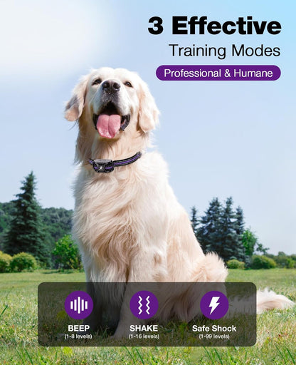 Dog Shock Collar - 3300Ft Dog Training Collar with Remote for 5-120lbs Small Medium Large Dogs Rechargeable Waterproof e Collar with Beep (1-8), Vibration(1-16), Safe Shock(1-99) (Orange)
