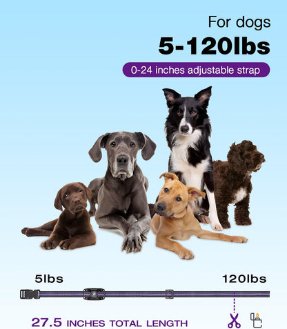 Dog Shock Collar - 3300Ft Dog Training Collar with Remote for 5-120lbs Small Medium Large Dogs Rechargeable Waterproof e Collar with Beep (1-8), Vibration(1-16), Safe Shock(1-99) (Orange)