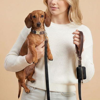 PU Leather Dog Leash for Medium Dogs, 5ft Soft Padded Handle, Green