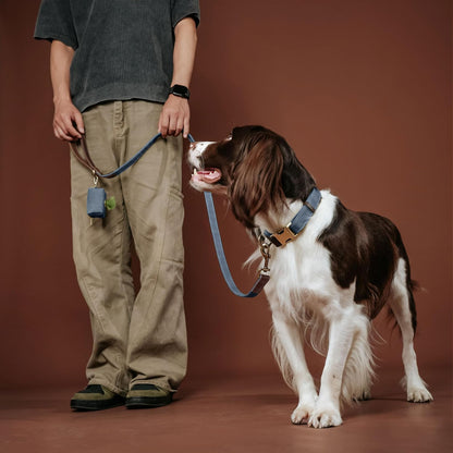 PU Leather Dog Leash for Medium Dogs, 5ft Soft Padded Handle, Green