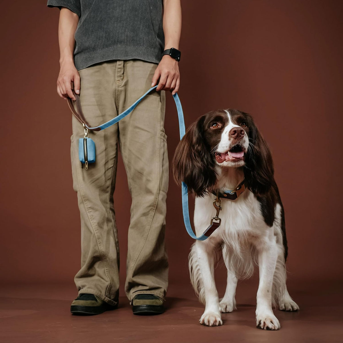 PU Leather Dog Leash for Medium Dogs, 5ft Soft Padded Handle, Green
