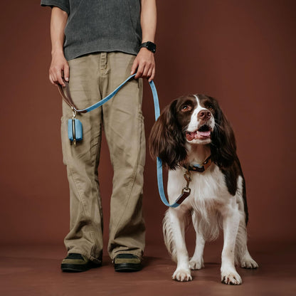 PU Leather Dog Leash for Medium Dogs, 5ft Soft Padded Handle, Green