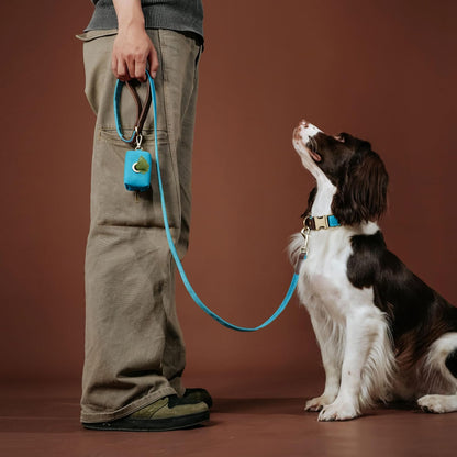 PU Leather Dog Leash for Medium Dogs, 5ft Soft Padded Handle, Green