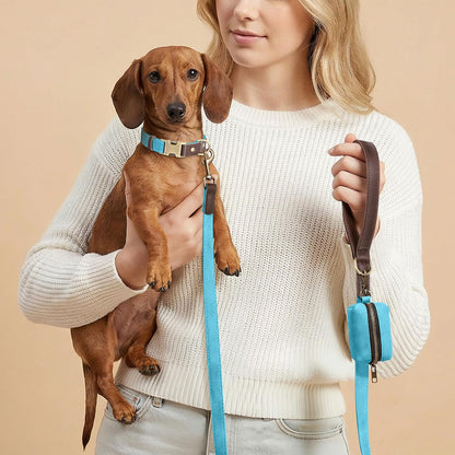 PU Leather Dog Leash for Medium Dogs, 5ft Soft Padded Handle, Green