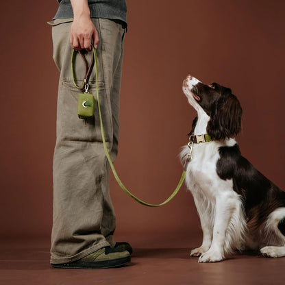 PU Leather Dog Leash for Medium Dogs, 5ft Soft Padded Handle, Green
