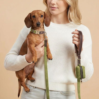 PU Leather Dog Leash for Medium Dogs, 5ft Soft Padded Handle, Green