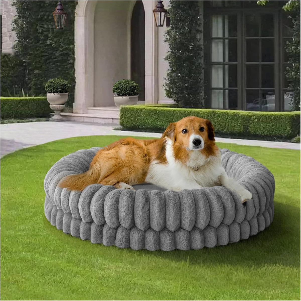 BALANCE Luxury Donut Dog Bed, 30 Inches Round Dog Bed Medium Size Dogs Washable, Orthopedic Calming Dogs Bed for Pets with Anti-Slip Bottom, Oatmeal