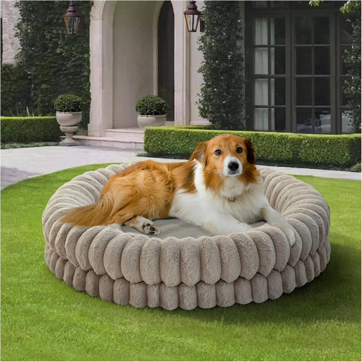 BALANCE Luxury Donut Dog Bed, 30 Inches Round Dog Bed Medium Size Dogs Washable, Orthopedic Calming Dogs Bed for Pets with Anti-Slip Bottom, Oatmeal