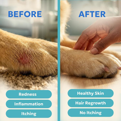 Blue Butter – Hot Spot Treatment for Dogs Cats | Dog Cat Wound Care | Skin Yeast Infections, Ringworm, Cuts, Rashes, First Aid Veterinary Strength Anti Itch Cream 4oz