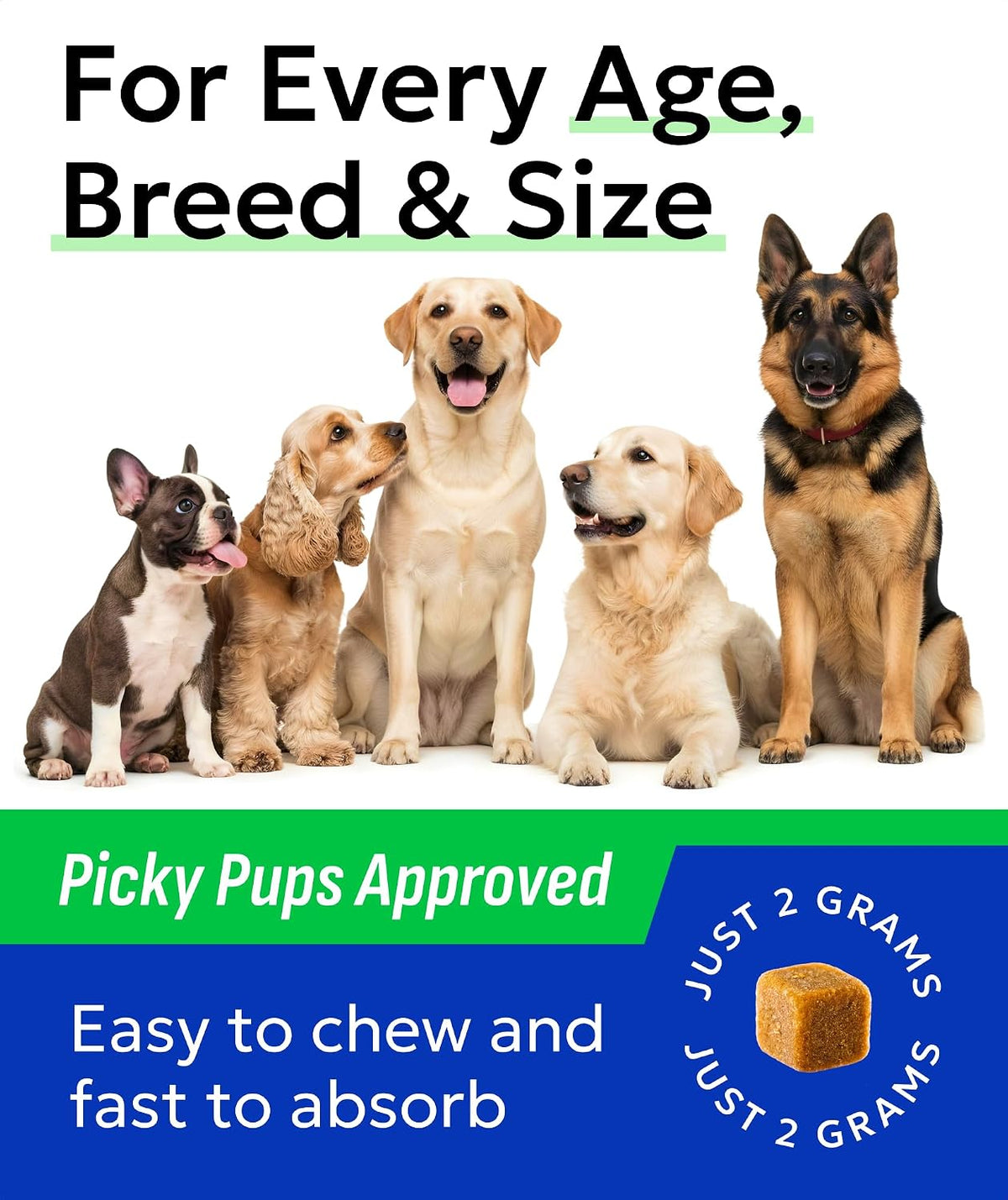 Dog Allergy Relief Chews - Skin Health & Anti-Itch Supplement with Omega-3