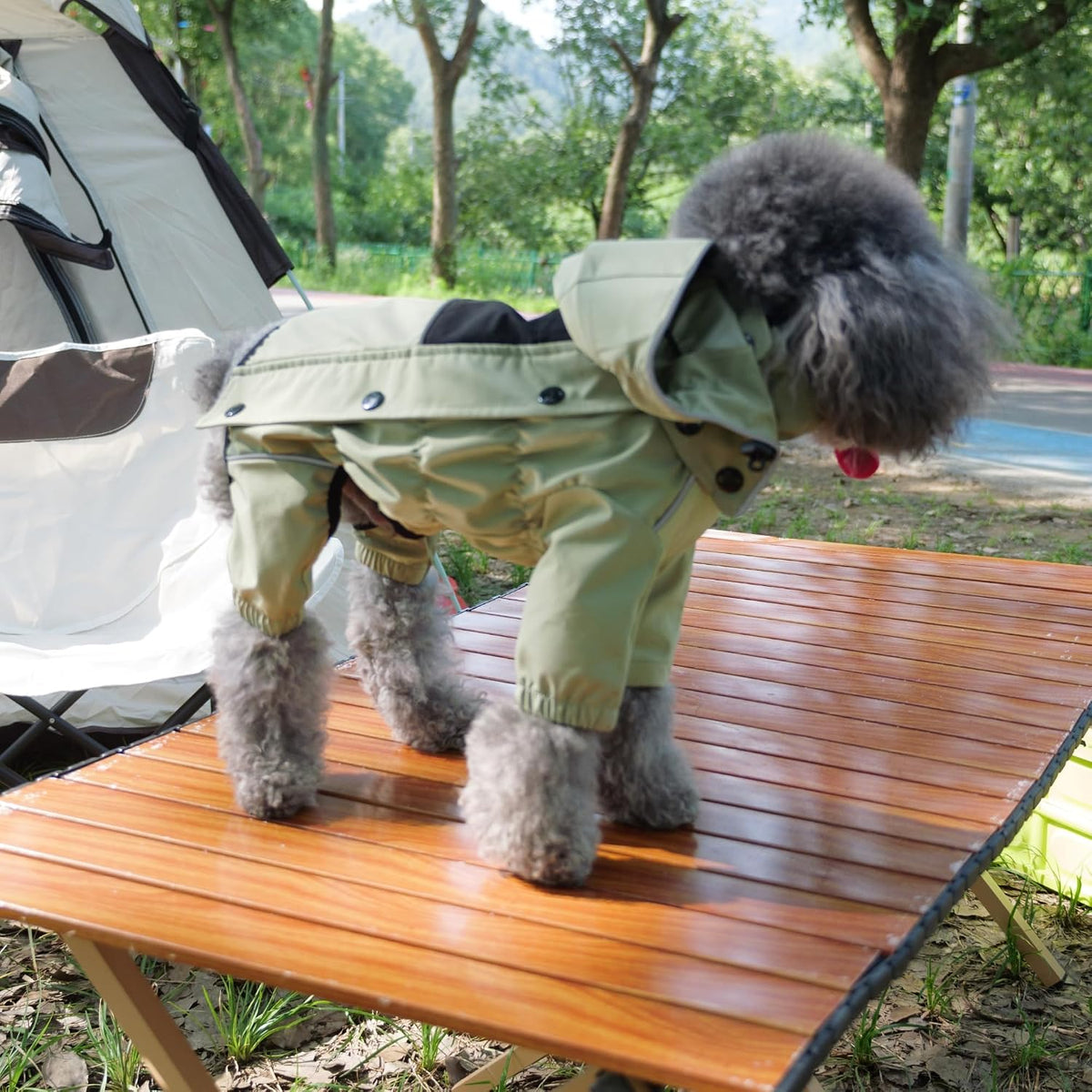 Waterproof Dog Raincoat with Removable Hood – Outdoor Full Body Dog Jacket, Windproof Snowproof Shell Suit – All Season Pet Rain Gear Sage Green L