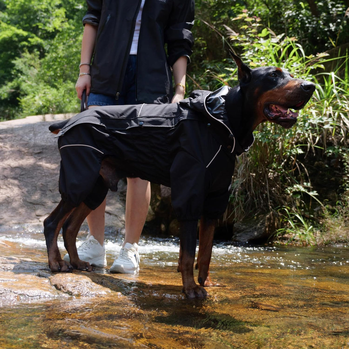 Waterproof Dog Raincoat with Removable Hood – Outdoor Full Body Dog Jacket, Windproof Snowproof Shell Suit – All Season Pet Rain Gear Sage Green L