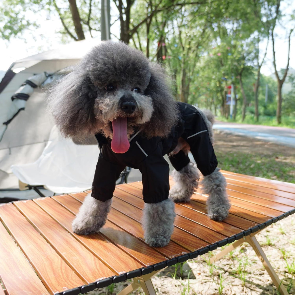 Waterproof Dog Raincoat with Removable Hood – Outdoor Full Body Dog Jacket, Windproof Snowproof Shell Suit – All Season Pet Rain Gear Sage Green L
