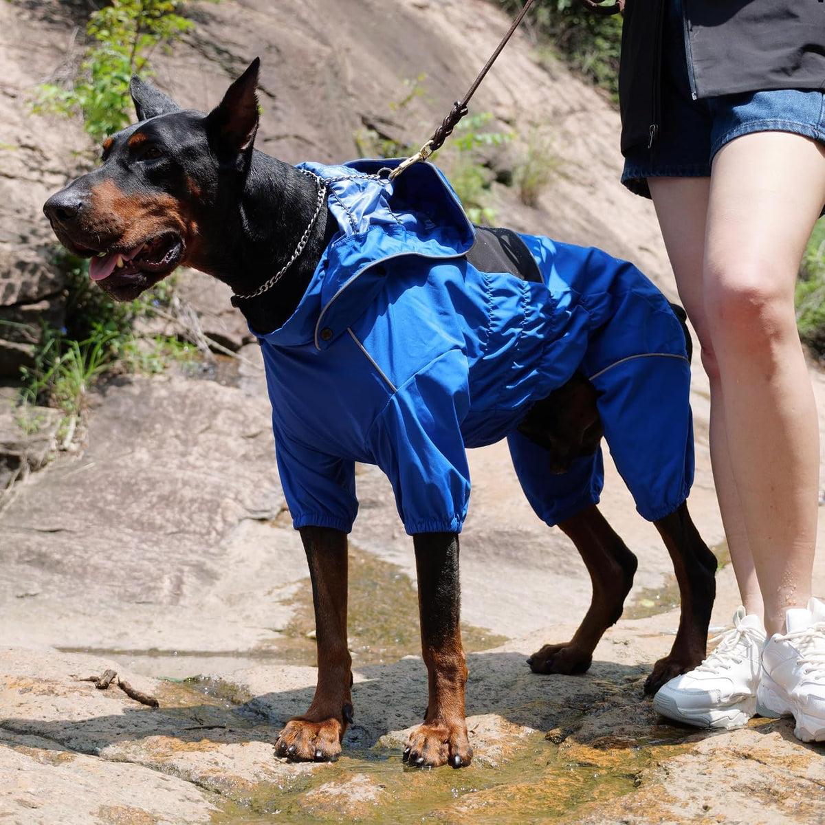 Waterproof Dog Raincoat with Removable Hood – Outdoor Full Body Dog Jacket, Windproof Snowproof Shell Suit – All Season Pet Rain Gear Sage Green L